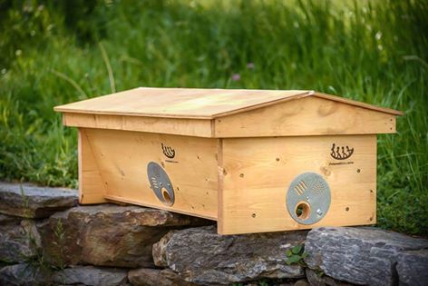 top bar- potere allo sciame - Scuola Ambulante